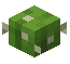 Tiny Cactus