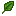 Basil