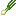 Green Onion