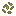 Mustard Seeds