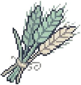 Barley