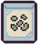 Bean Seeds