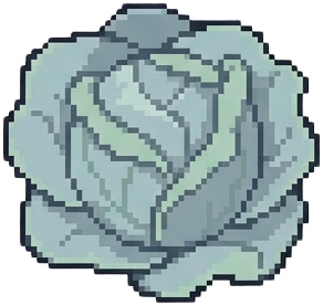 Cabbage