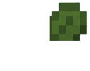 Celery Crop