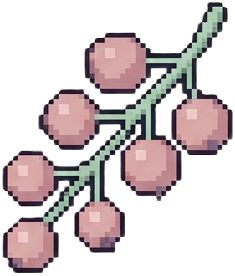 Currant