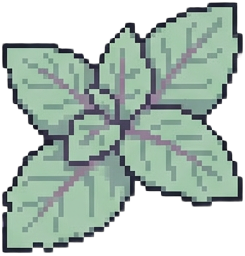 Mint