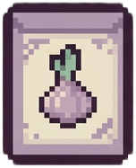 Onion Seeds
