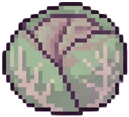 Roasted Cabbage