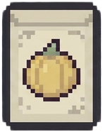 Squash Seeds