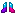 Opal Boots