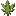 Afghani Hemp