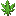 Brazilian Landrace Hemp