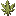 Hindu Kush Hemp