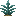 Agave