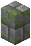 Mossy Stone Brick Wall Building