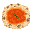 Food/Pizza Tomato Baked
