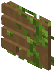 Spruce lattice 005