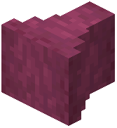 stripped crimson hyphae wall frame