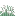 Feather Grass