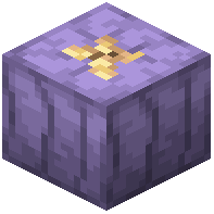 Purple Squash