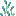 Tall Aether Cattails