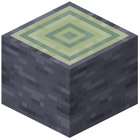Echo Log