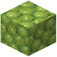 Matcha Ice Cream Block
