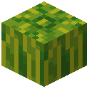 Mini Melon