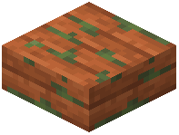 Mossy Acacia Slab