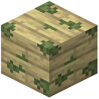 Mossy Birch Planks