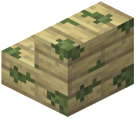 Mossy Birch Planks Stairs