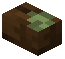 Mossy Dark Oak Button