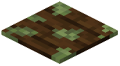 Mossy Dark Oak Pressure Plate