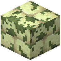 Mossy End Stone Bricks