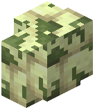 Mossy End Stone Bricks Wall