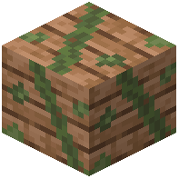 Mossy Jungle Planks