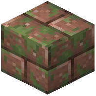 Mossy Polished Granite Bricks