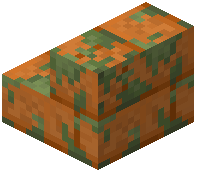 Mossy Red Sandstone Bricks Stairs