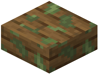 Mossy Spruce Slab