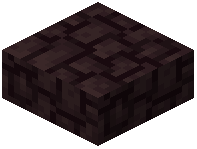 Spooky Weeping Willow Wood Slab