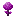 Apalachia Sapling