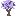 Auroraoak Sapling