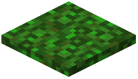 Bacterial Acid