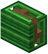 Forest Display Board