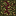 Grabber Plant