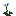 Jasper Blossom