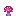 Pink Shroom