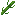 Plant Stem