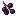Elderberries
