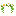 Flower Crown